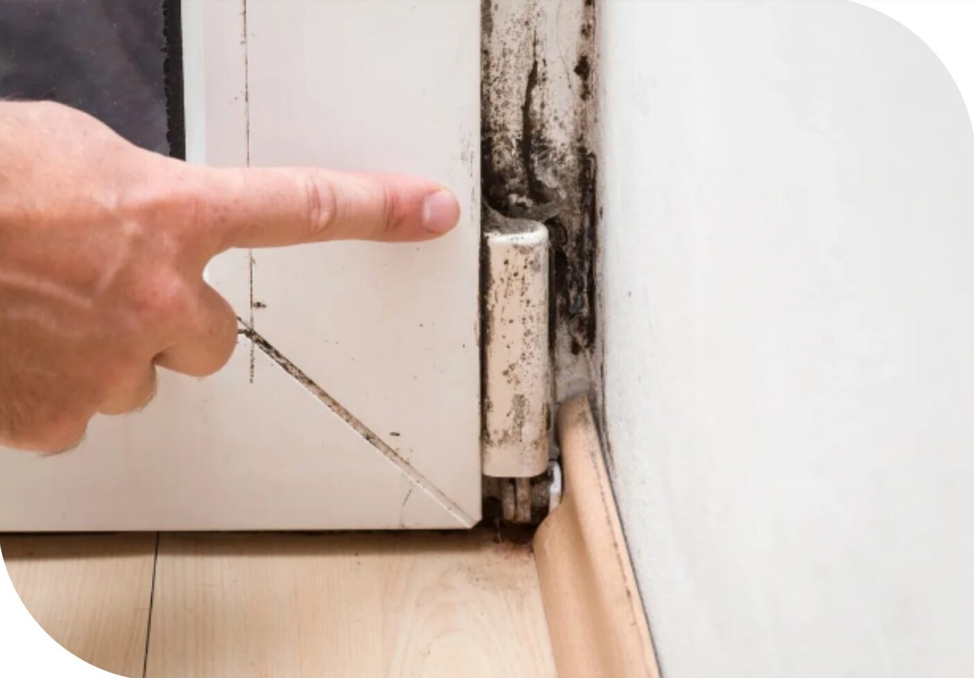 The Consequences of Not Cleaning Your Bathroom