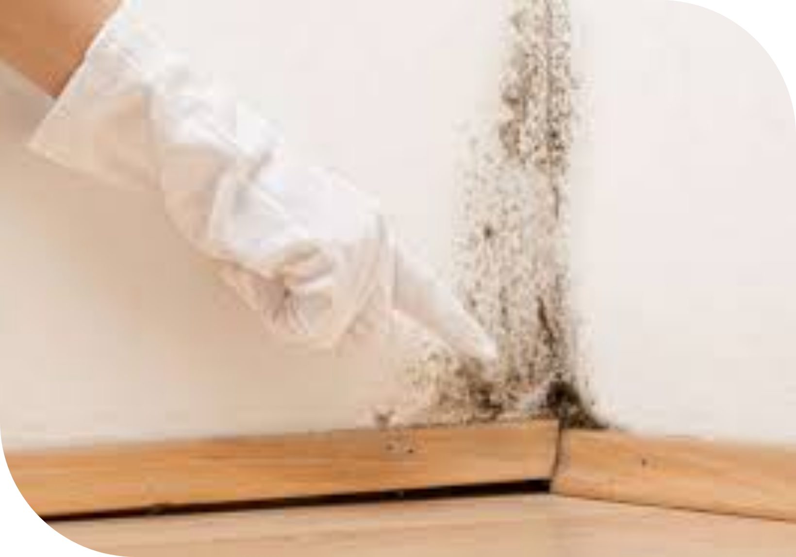 Effectively remove mold from walls with 3 natural ingredients